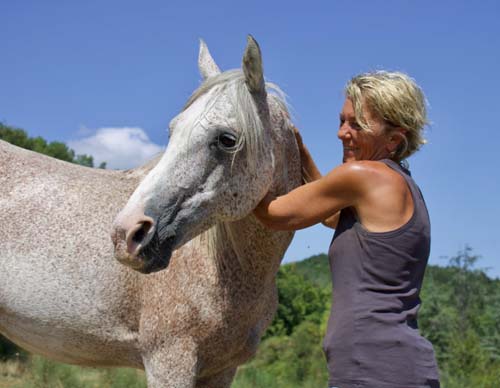 Communication animale : Elodie et son cheval